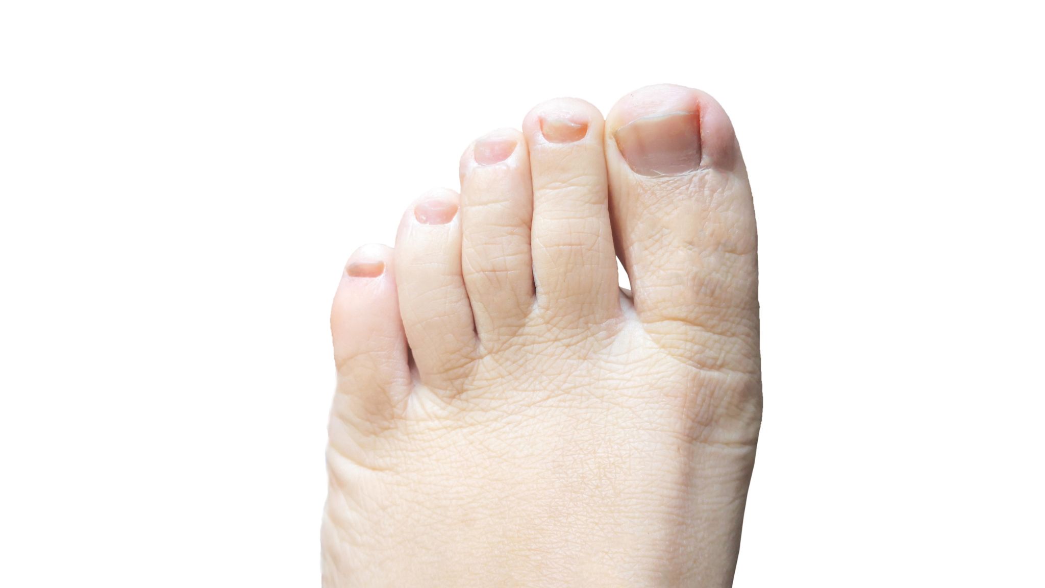 Close up of Left Foot isolated on a white background. clipping path.